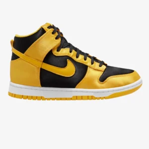 Nike Dunk High (M)